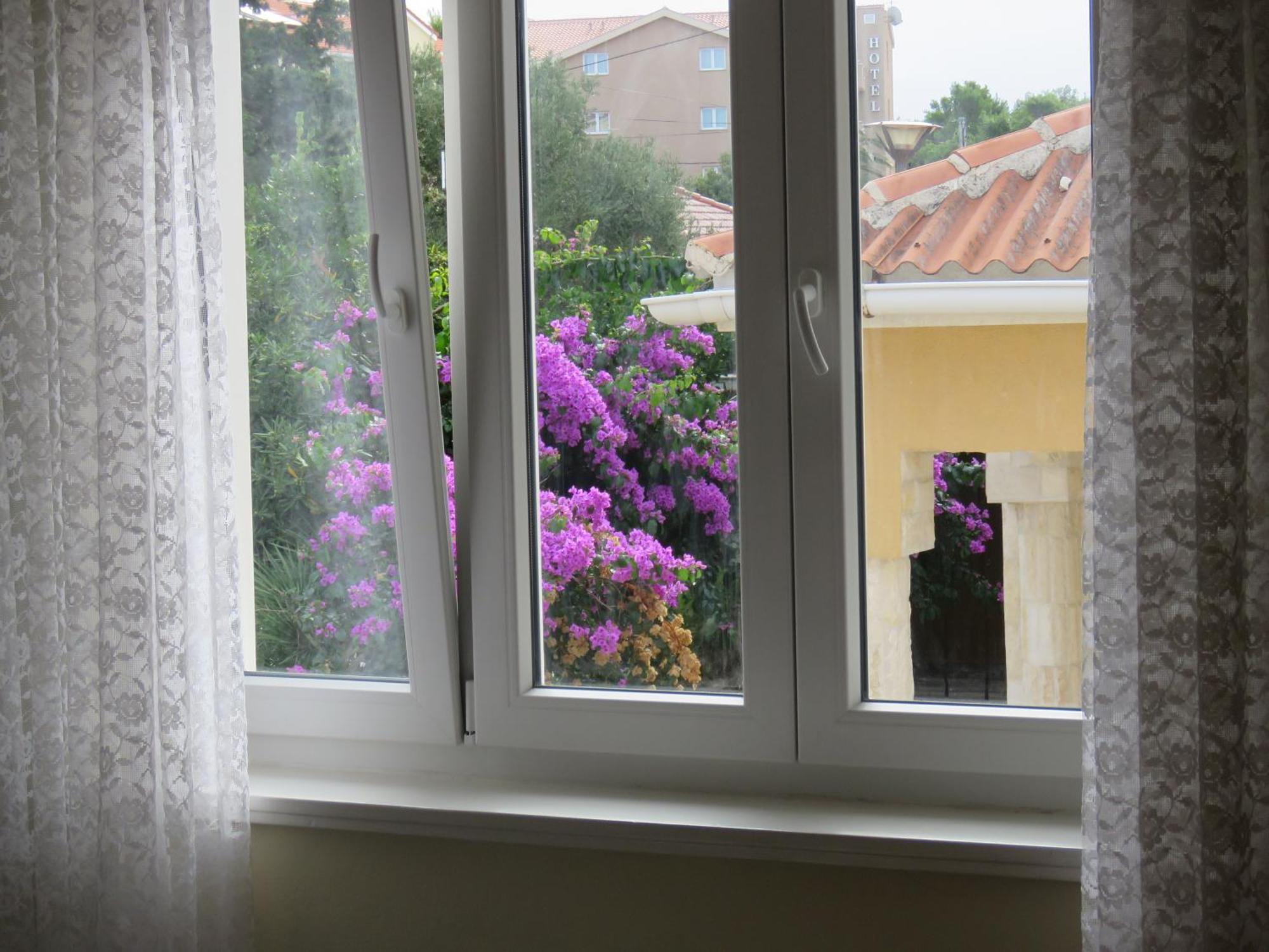 Guest House Miro Novalja Quarto foto
